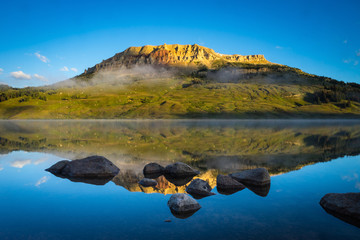 以租代购买车哪个平台靠谱