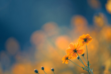 国外一些专家对矿业的某些看法