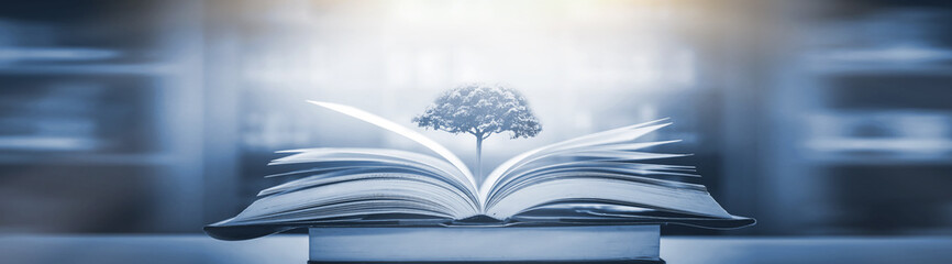 美孚速霸1000和2000有什么区别呀？