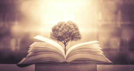 美孚速霸1000和2000有什么区别呀？