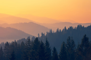 高速拖车怎么联系