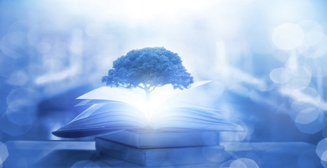 为什么都不建议买红旗h5