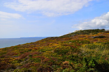 科目二受理中取消预约算不算一次