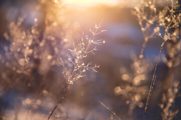 离我最近的违章处理点