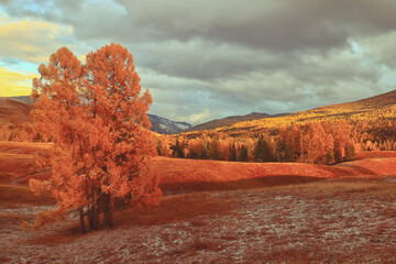 奥迪保值率高不高