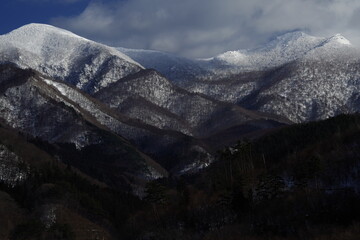 科目二受理中取消预约算不算一次