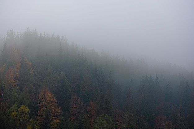 国外一些专家对矿业的某些看法