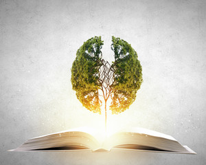 汽车发动机正时皮带起什么作用