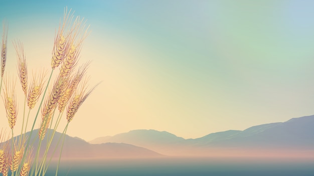 科目二受理中取消预约算不算一次