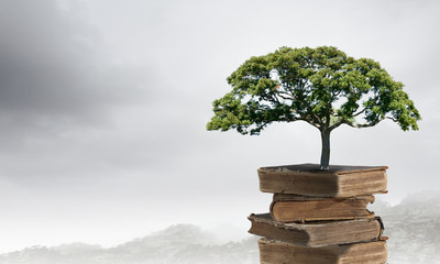 高速拖车怎么联系