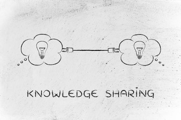 史书的体例有哪些？