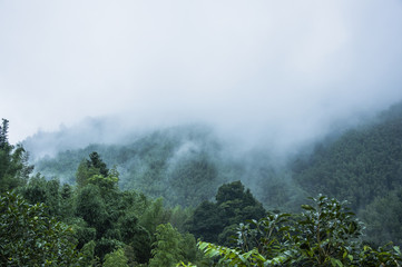 高速拖车怎么联系